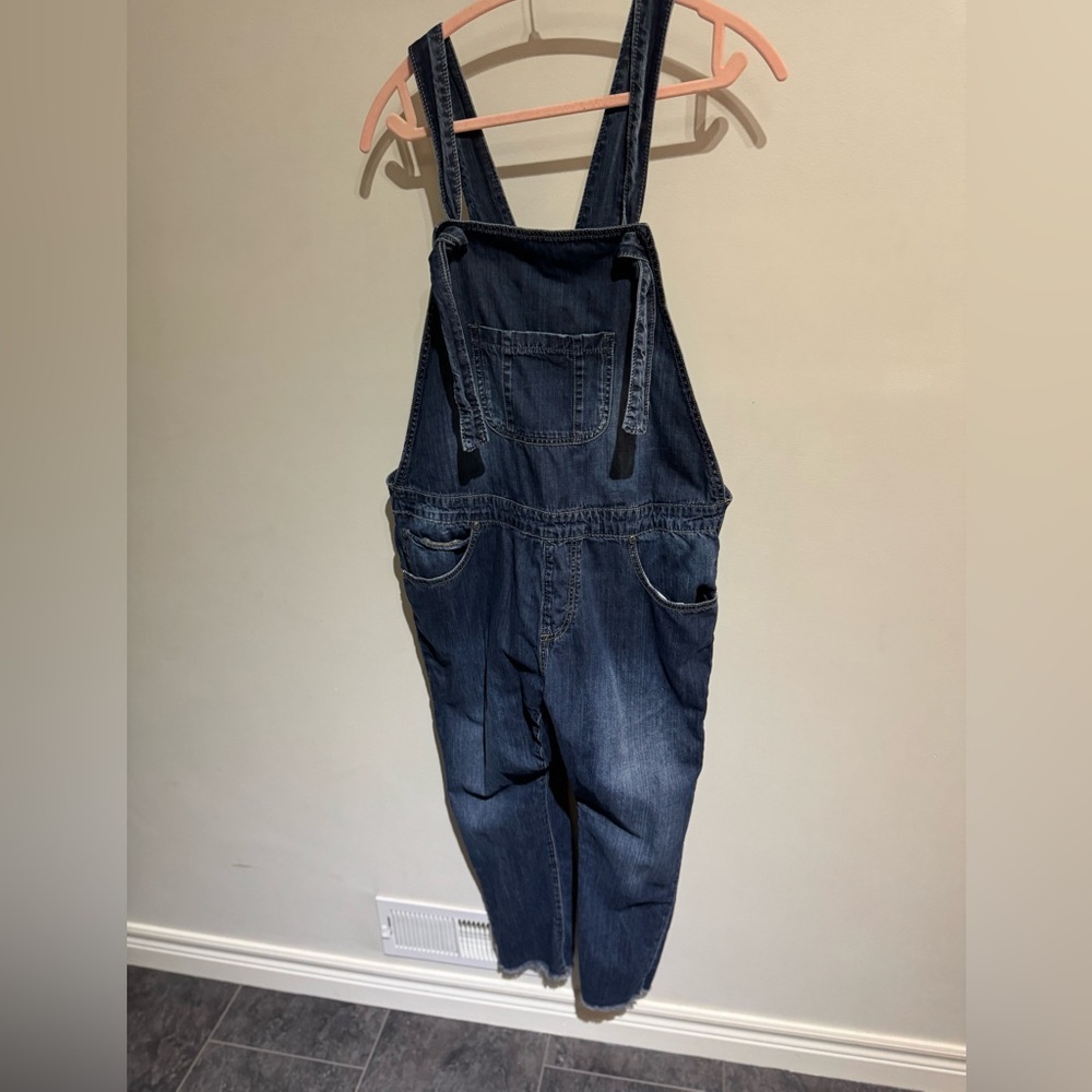 ONE X ONETEASPOON dark denim overalls L
